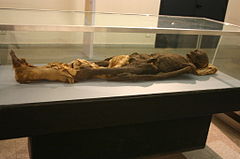 Mummy of Greek-Roman era, from Thebes.
