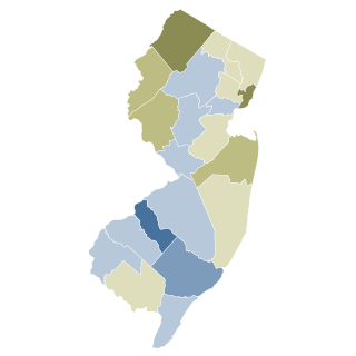 <span class="mw-page-title-main">New Jersey's 1927 biannual elections proposal</span> Attempt to extend terms of offices