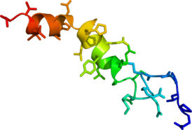 Solution phase NMR structure of orexin A based on the PDB coordinates 1R02
