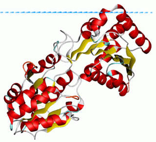 Fortune Salaire Mensuel de Glycosyltransferase Combien gagne t il d argent ? 1 140 000,00 euros mensuels