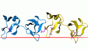 Thumbnail for Fibronectin type II domain