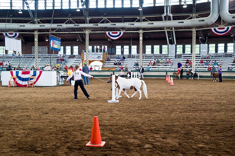 File:2014 Iowa State Fair (14693250757).jpg