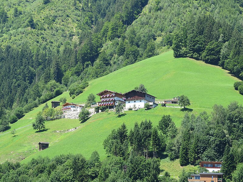 File:2017-07-21 (202) Agricultural building in Zell am See, Austria.jpg