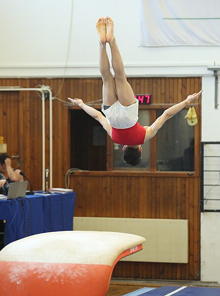 File:2019-05-26 Budapest Cup age group III apparatus finals warm-up vault (Martin Rulsch) 06.jpg