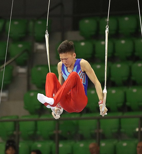 File:2019-06-27 1st FIG Artistic Gymnastics JWCH Men's All-around competition Subdivision 3 Still rings (Martin Rulsch) 348.jpg