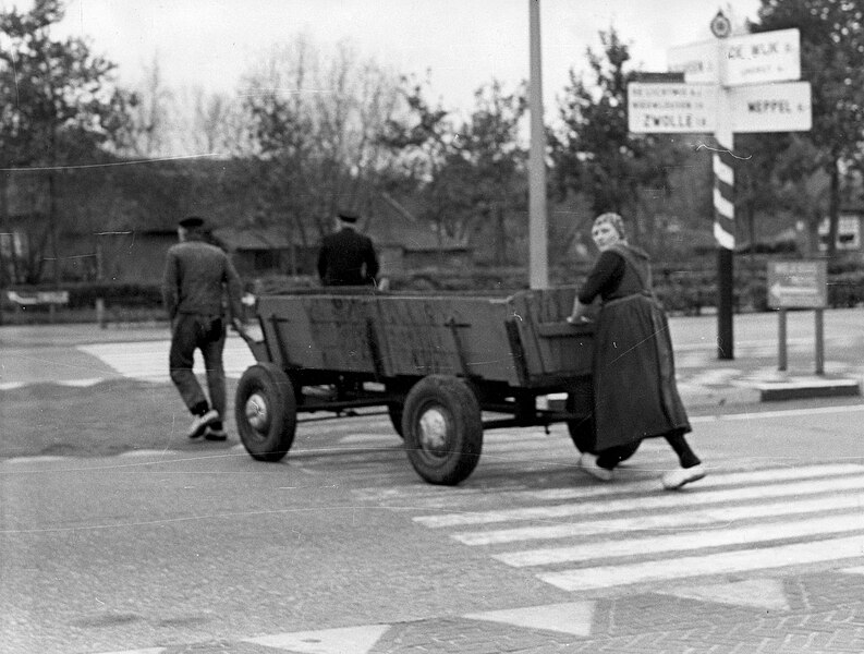 File:2 Boeren en een boerin met een kar, SFA001002688.jpg