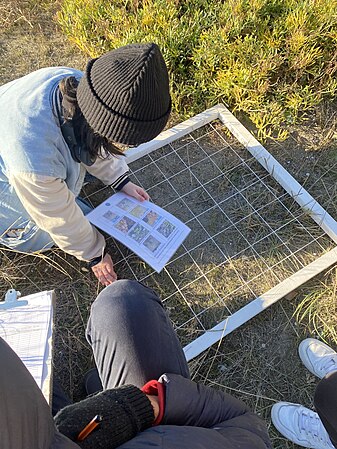 Student working on the identification of the plants and their coverage using the square technique. Photo by Giulia Castiglioni and Elena Prudente