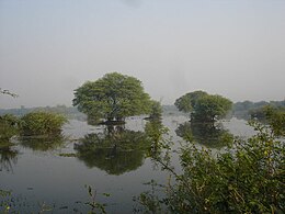 3433- Keoladeo Nature Reserve.jpg