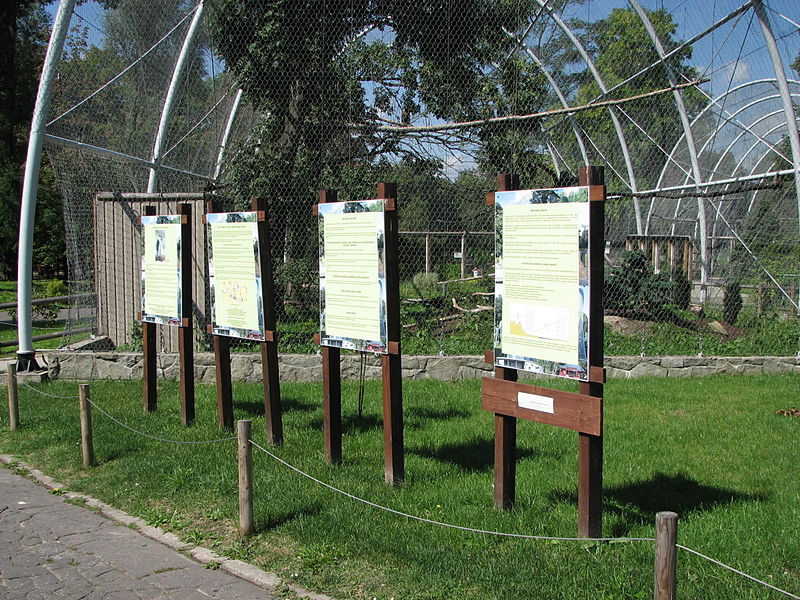 File:A Silesian Zoological Garden 57.JPG