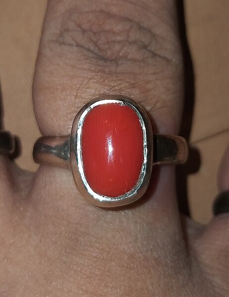 File:A red coral gemstone within a silver ring, photographed in West Bengal, India, November 21, 2023.jpg