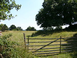 Neck ditch with ascent to the castle hill