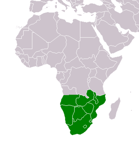 Acacia-karroo-range-map.png