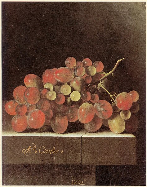 File:Adriaen Coorte - Grapes on a Stone Ledge 1705.jpg