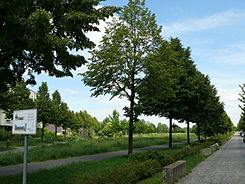 Coloniapark