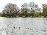 Alvaston Park, Derby - geograph.org.inggris - 6383.jpg