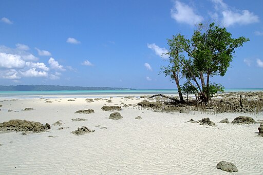 Andaman Sea, Havelock Island, Andamans