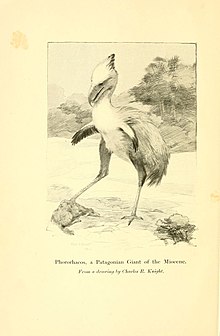 Animals of the past (Fig. 16) (5984589703).jpg