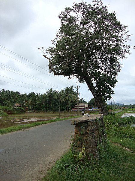 File:Athani or Porters Rest 01.jpg