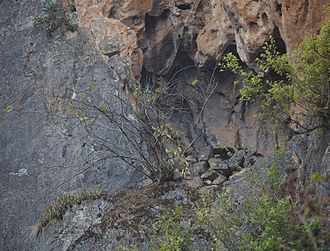 One of the hanging tombs (example of an exposed natural site) of the Ku People at Bainitang (Bai Ni Tang ), Qiubei county, Wenshan prefecture, Yunnan province, China. Bainitang Hanging Tomb (Exposed site).jpg