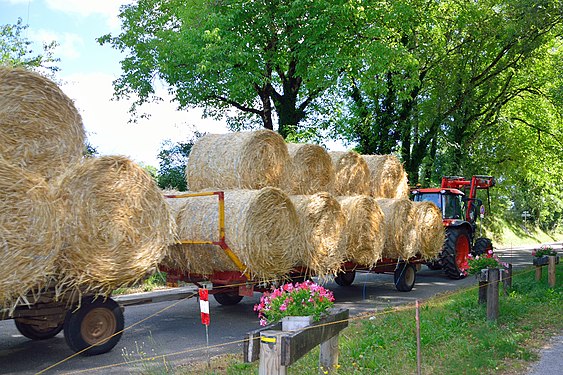 After the harvest: Transport of straw bales in France