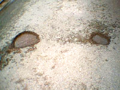 The Banbury Cake and The Banbury Review newspapers did an expose on the weather induced potholes during the second week of January 2010. Banbury pothole in 2010.png