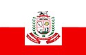Bandeira de Irituia