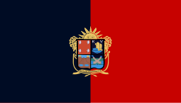 Bandeira de Irapuato