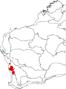 Banksia sphaerocarpa var. pumilio map.png 