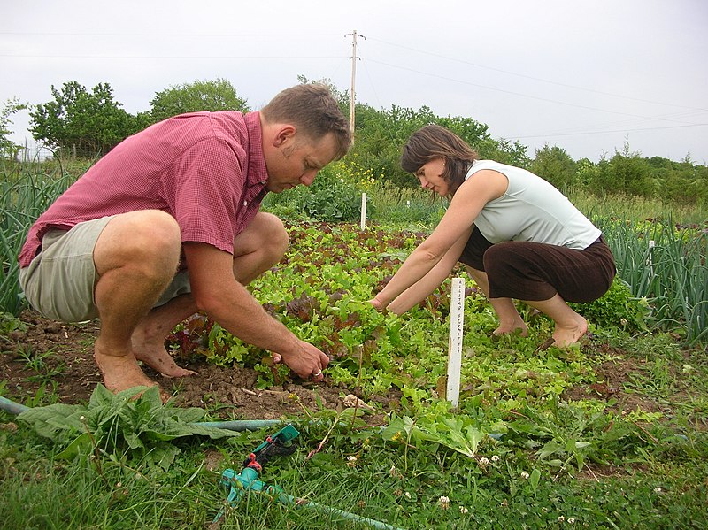 File:Barefoot farming.jpg