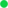 Basic green dot.png