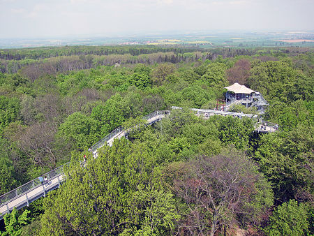 Baumkronenpfad Hainich