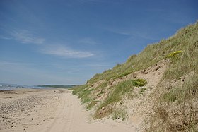 Beach & dunes at Machrihanish Bay.