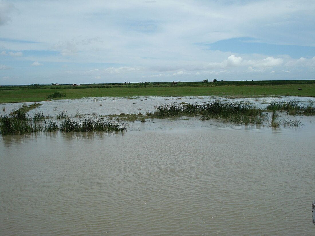 Bhola Island