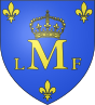 Montargis: Municipi francès