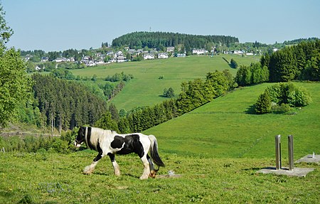 Blick Richtung Neuastenberg panoramio