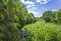 * Nomination Western part of "Saumain in the city of Schweinfurt" nature reserve (view from "Marienbrücke") --Plozessor 03:47, 18 May 2024 (UTC) * Promotion  Support Good quality. --Ermell 05:50, 22 May 2024 (UTC)