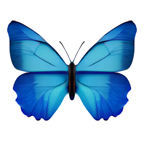 blue butterfly png