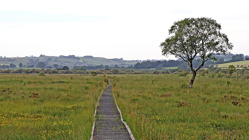 File:Board walk across Cors Caron near Swyddffynnon in Ceredigion - geograph.org.uk - 6227954.jpg