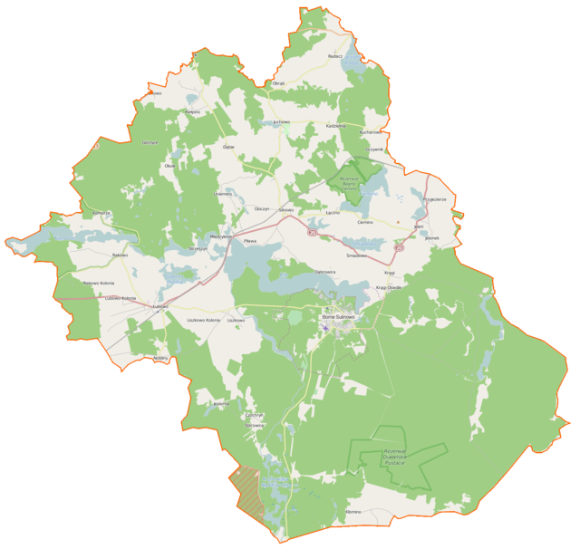 Mapa konturowa gminy Borne Sulinowo, w centrum znajduje się punkt z opisem „Borne Sulinowo”