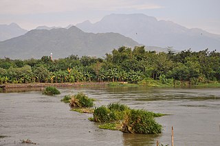 Kediri Regency Regency in East Java, Indonesia