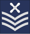 Rank badge of a Royal Air Force chief technician British RAF OR-7a.svg