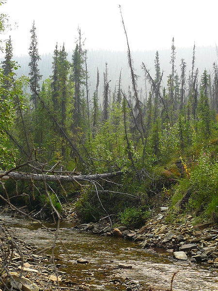 File:Browncreek yukon alaska.jpg