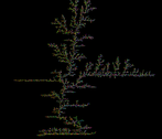 A DLA cluster grown from a copper sulfate solution in an electrodeposition cell