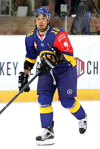 <span class="mw-page-title-main">Andres Ambühl</span> Swiss ice hockey player