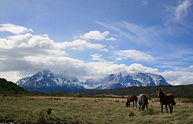 Image illustrative de l’article Cheval au Chili