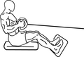 Cable seated row (position 1, flexion)
