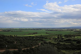 Alluvial plains of the island's interior