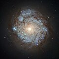 NGC 278 nằm trong chòm sao Cassiopeia phía bắc.