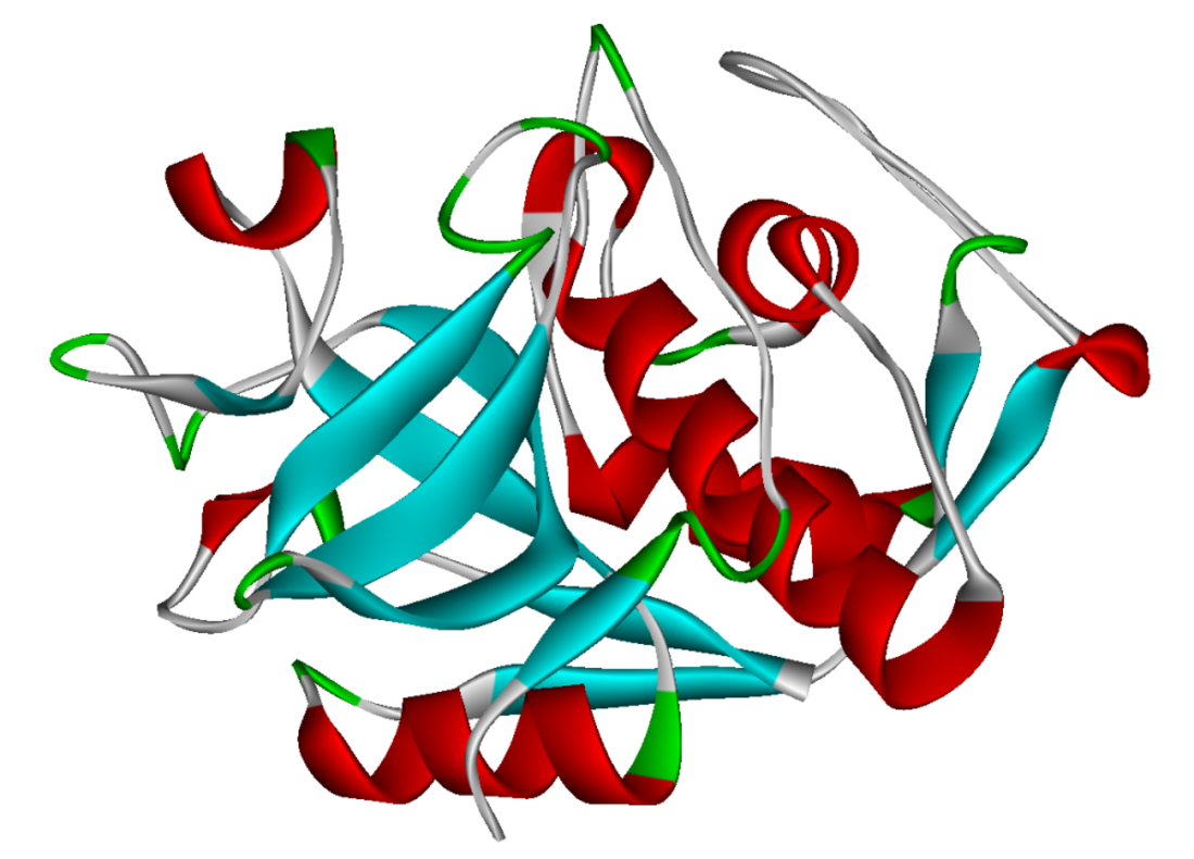 Cathepsin