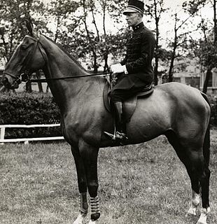 Charles Pahud de Mortanges Dutch equestrian